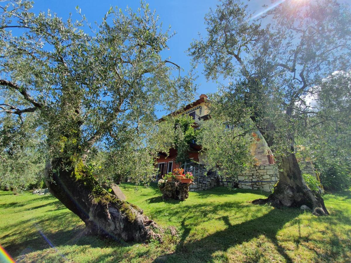 Casa Valenti Apartamento Brenzone sul Garda Exterior foto